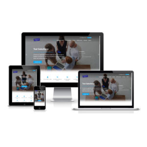 Site web Sinext-consulting